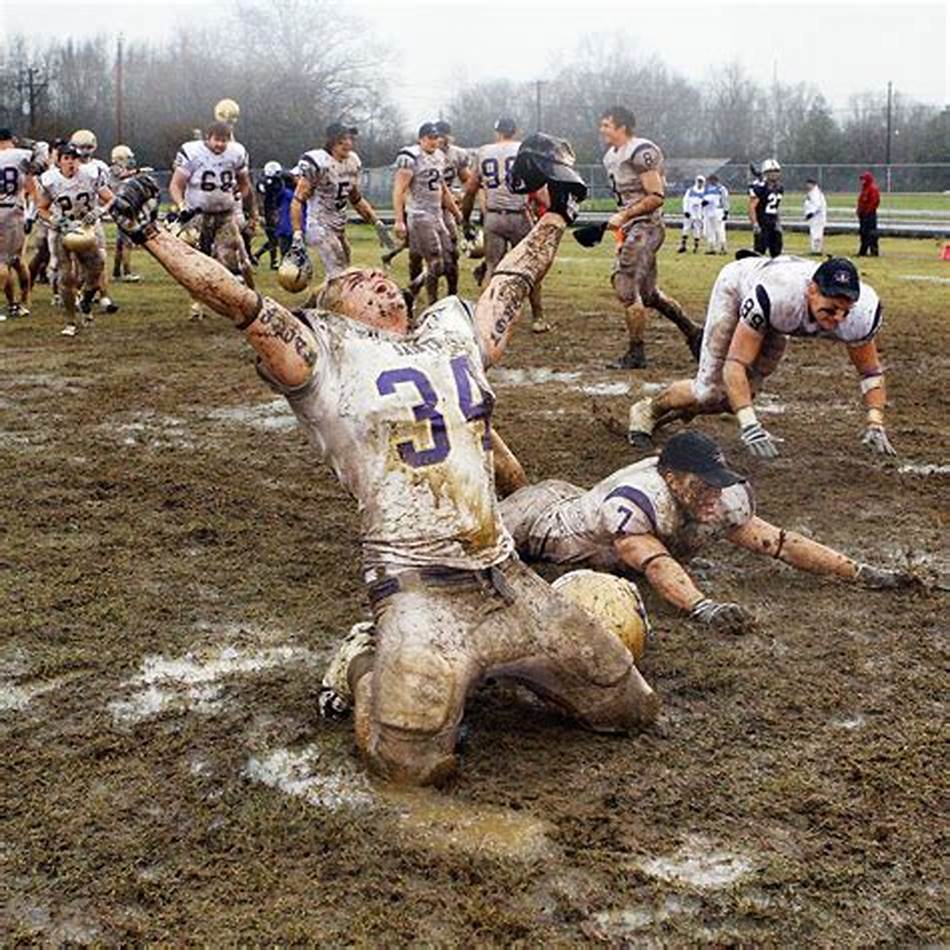 禀的球员 禀的球员