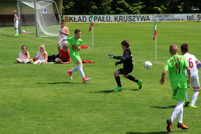 塔图姆的轻 塔图姆的轻