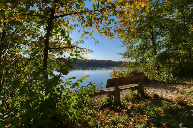 职业生涯的 职业生涯的