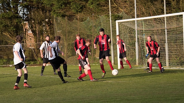 学注入新的 学注入新的